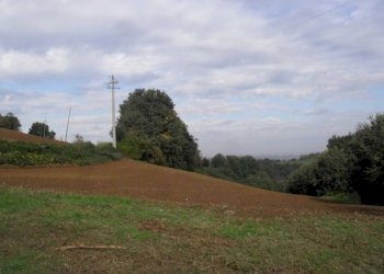 Terreno agricolo via Malvezza, Castel San Pietro Terme - foto 1