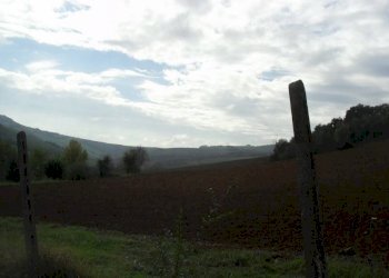 Terreno agricolo via Malvezza, Castel San Pietro Terme - foto 4