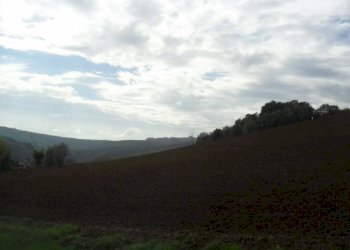 Terreno agricolo via Malvezza, Castel San Pietro Terme - foto 5