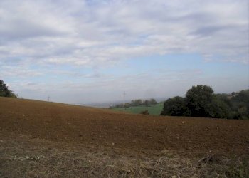 Terreno agricolo via Malvezza, Castel San Pietro Terme - foto 6