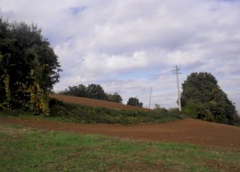 Terreno agricolo via Malvezza, Castel San Pietro Terme - foto 2