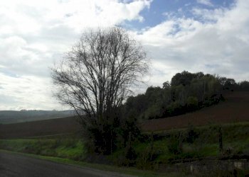 Terreno agricolo via Malvezza, Castel San Pietro Terme - foto 7