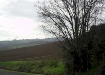 Terreno agricolo via Malvezza, Castel San Pietro Terme - foto 8