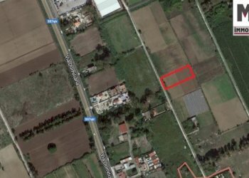 Terreno agricolo Mondragone - foto 1