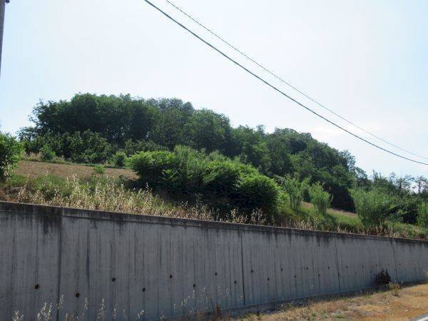 Villa via Stazione, Monticello d'Alba - foto 1