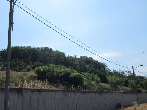 Villa via Stazione, Monticello d'Alba - foto 2