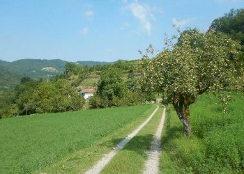 Rustic strada San Giacomo, Cortemilia - photo 4
