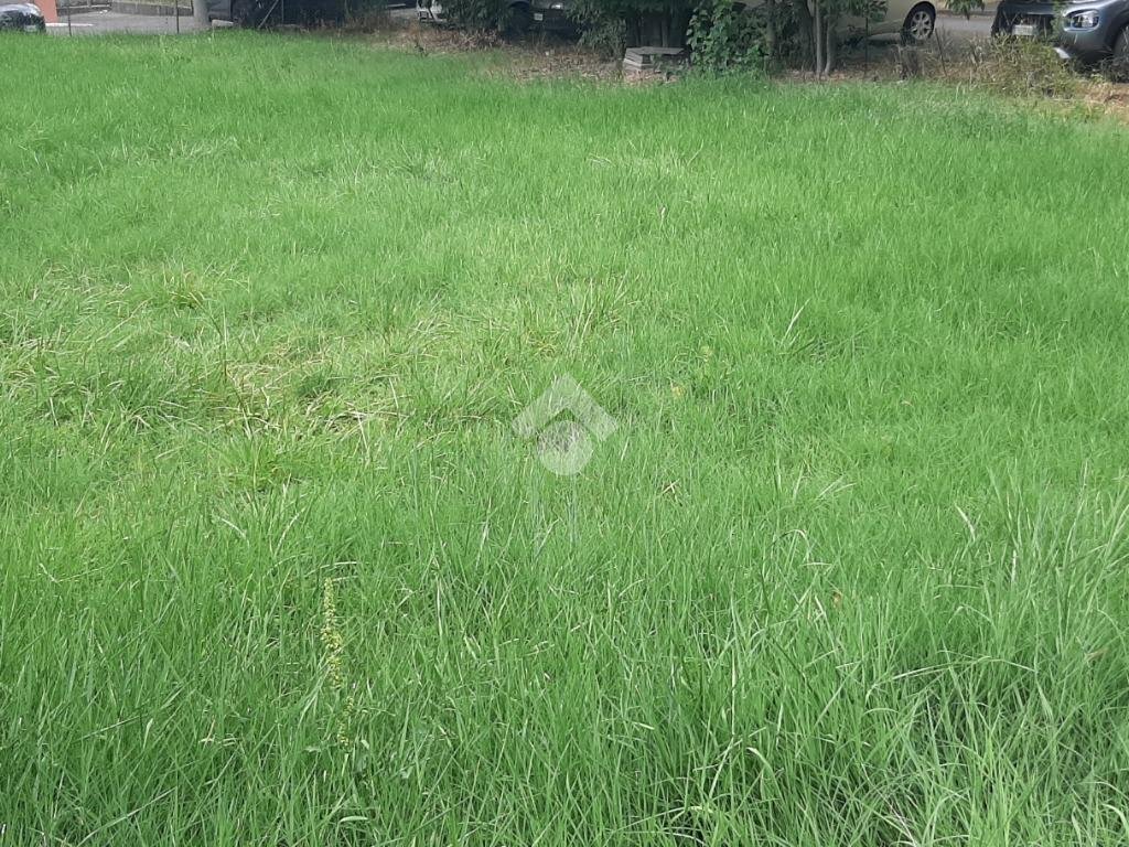 Building land Via san Lorenzo, Casalgrande - photo 1