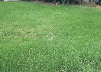 Terreno edificabile Via san Lorenzo, Casalgrande - foto 1