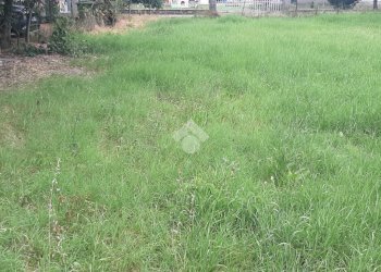 Terreno edificabile Via san Lorenzo, Casalgrande - foto 3