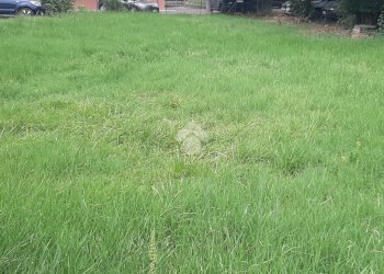 Terreno edificabile Via san Lorenzo, Casalgrande - foto 4