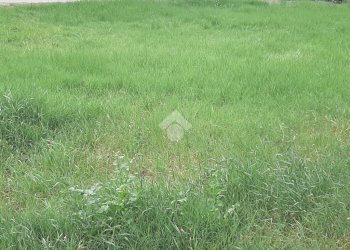 Terreno edificabile Via san Lorenzo, Casalgrande - foto 6