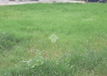 Terreno edificabile Via san Lorenzo, Casalgrande - foto 7