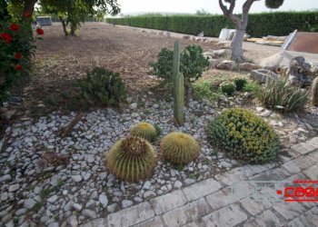 Holiday home PLAYA GRANDE, Scicli - photo 18