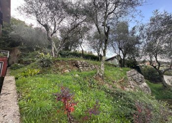 am1.jpg - Monolocale Ameglia - foto 19