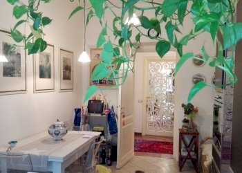 5.jpg - Appartamento Sarzana - foto 1