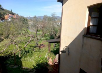 DELT4.jpg - Independent house Ameglia - photo 25