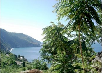 panorama - Appartamento Vernazza - foto 7