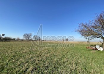 IMG_4690.jpeg - Rustico Via Giuseppe Mazzini, Canaro - foto 22