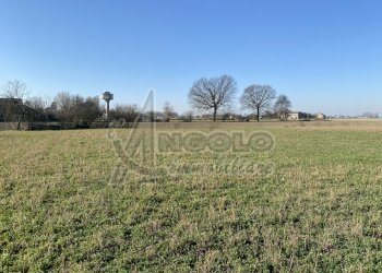 IMG_4691.jpeg - Rustico Via Giuseppe Mazzini, Canaro - foto 23