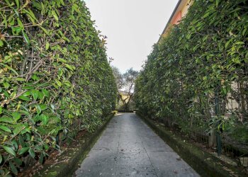 2-IMG_8963.jpg.jpg - Three-room apartment Via Rovegliara 66, Bressanvido - photo 17