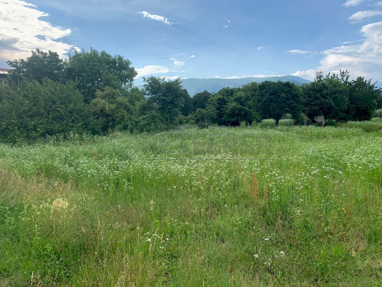 WhatsApp Image 2021-06-17 at 16.43.21.jpeg - Building land Bassano del Grappa - photo 1