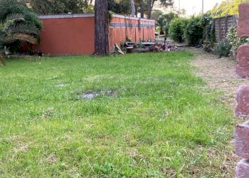 IMG-20250530-WA0032.jpg - Villa Viale del Tirreno 375, Pisa - foto 6