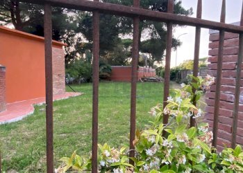 IMG-20250530-WA0036.jpg - Villa Viale del Tirreno 375, Pisa - foto 7