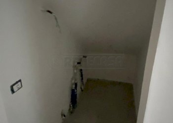 IMG-20250530-WA0021.jpg - Villa Viale del Tirreno 375, Pisa - foto 16