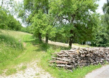 ESTERNI - Rustico Via Spignon 3, Pulfero - foto 4