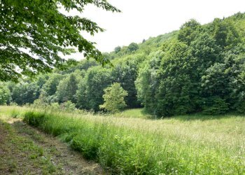 ESTERNI - Rustico Via Spignon 3, Pulfero - foto 9