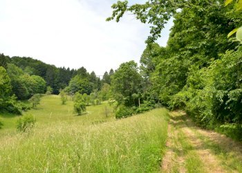 ESTERNI - Rustico Via Spignon 3, Pulfero - foto 10