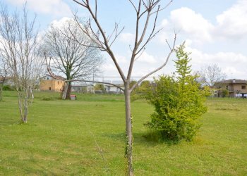 VISTA - Terreno edificabile Via Redipuglia 2, San Vito al Torre - foto 4
