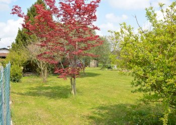 VISTA - Terreno edificabile Via Redipuglia 2, San Vito al Torre - foto 6