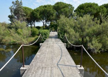 PORTO PRIVATO - Villa SR352, Grado - foto 10