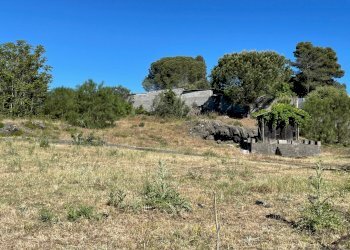 IMG_0587.jpg - Terreno edificabile Pedara - foto 1