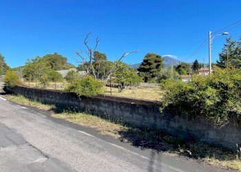 IMG_0583.jpg - Terreno edificabile Pedara - foto 3