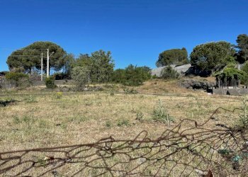 IMG_0579.jpg - Terreno edificabile Pedara - foto 5