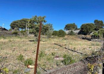 IMG_0578.jpg - Terreno edificabile Pedara - foto 6