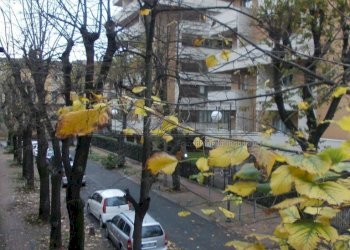 PANORAMA - Bilocale calzabigi 12, Livorno - foto 15