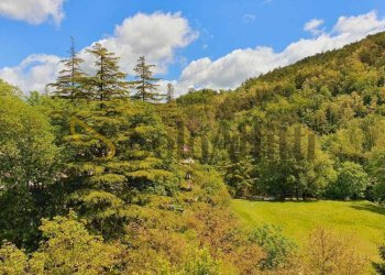vista panoramica - Appartamento Piazza Traversari 7777, Portico e San Benedetto - foto 9