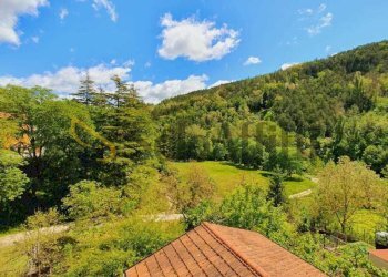 vista panoramica - Appartamento Piazza Traversari 7777, Portico e San Benedetto - foto 11