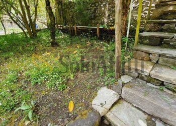 giardino - Appartamento Piazza Traversari 7777, Portico e San Benedetto - foto 24