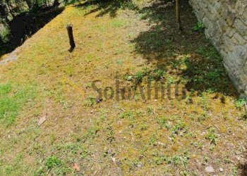 giardino - Appartamento Piazza Traversari 7777, Portico e San Benedetto - foto 26