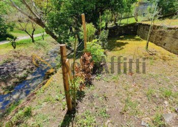 giardino - Appartamento Piazza Traversari 7777, Portico e San Benedetto - foto 28