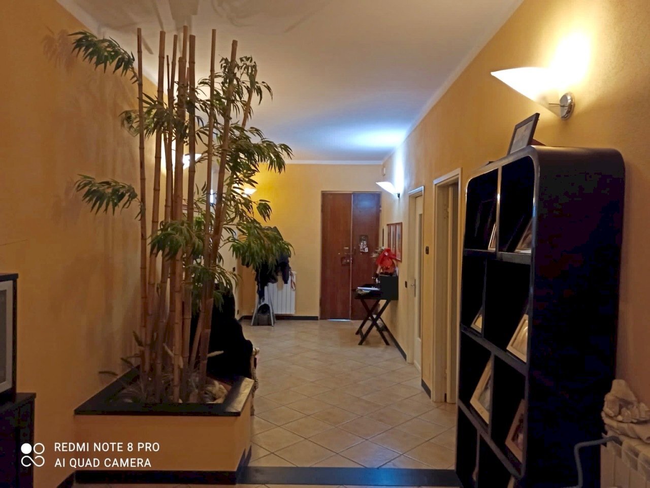 IMG-20210522-WA0010.jpg - Casa indipendente Sarzana - foto 3