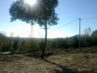 Allegato di posta elettronica.jpeg - Building land Luni - photo 2