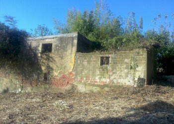 2010-11-17 13.56.11 - Copia.jpg - Terreno edificabile Luni - foto 4