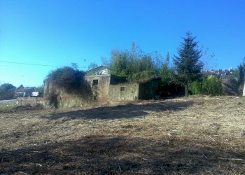 2010-11-17 13.57.00 - Copia.jpg - Terreno edificabile Luni - foto 5