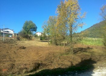 2010-11-17 13.58.30 - Copia.jpg - Terreno edificabile Luni - foto 6